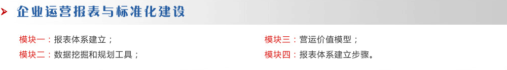 企業(yè)運(yùn)營報表與標(biāo)準(zhǔn)化建設(shè)